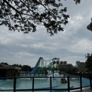 로터스팜 | 가족여행 #2] 데사루맛집 / 로터스 시푸드 레스토랑...포포인츠 바이 쉐라톤 조식 후기 / 워터파크 아이...