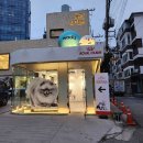 반려견과 건강한 생활을 위한 로얄캐닌 아카데미 후기