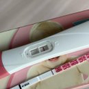 어라운드맘스 | 14. 3일배아 동결이식 1~8일차 증상 | 임테기 및 피검 결과