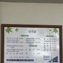섬갯돌