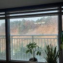 힐스테이트강릉아파트 이미지