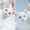 반짝반짝