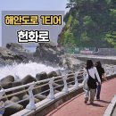헌화로 | 강릉에서 가장 아름다운 해안도로 헌화로 드라이브 후기