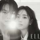 호시타코야끼 이미지