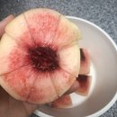하율명품 | 반말랑이 백도 명품왕 후기 복숭아 후숙하는 방법