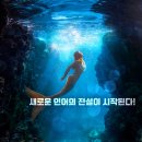 조나단목장 이미지