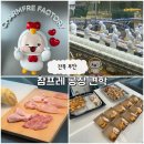 6091농장 | 전북 부안 가볼만한 곳, 아이와 다녀온 참프레 공장 견학 후기