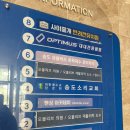오블리브의원송도 | (송도 )오블리브의원 도수치료 방문후기 단돈 만원! 만원의 행복❤️