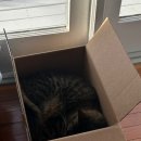 가은언니마켓 이미지