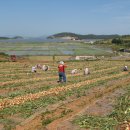 순흥농장 이미지