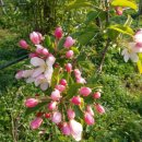 이병춘농장 이미지