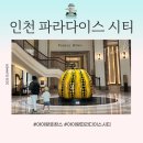 소소원더테라스104호 | 1박 2일 생일 호캉스 후기 ( 생일 혜택, 부대시설...온더플레이트 조식 &amp; 석식, 키즈존, 원더박스)