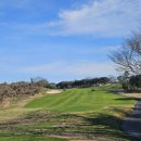 (주)라온골프 이미지