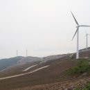 매봉산정상 이미지