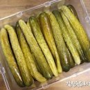 오이지 Daum카페