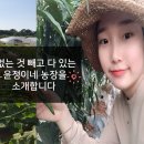 윤정농장 이미지