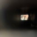 혜진축사 | 2025년 상반기 일을 내가 어 떻 게 기억하냐고