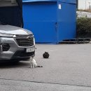 학익체육관 이미지