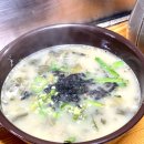 서호마을버스 (서호교통) | 비행기타고 통영 1박 2일 여행기 - 맛집 탐방