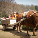 옛소농장 이미지