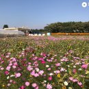 수동농장 이미지