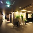 스테이인 호텔 봄 이미지