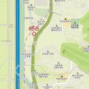 용구대로2469번길 이미지