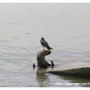 서검낚시터 이미지