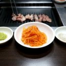 금갈매기