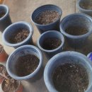 토산농장 이미지