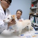수사랑 동물병원 이미지