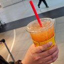 개미 | 김포공항 국내선 식당 맛집 든든하게 먹고 싶다면 홍대개미 아메리칸트레일러 내돈내산 후기