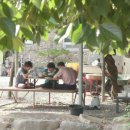 섬마을식당 이미지