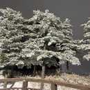 영어초급 야간 | 하이원 노블스키캠프 솔직 후기