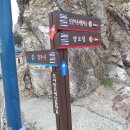 계원리두원 티스토리