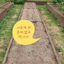 천농 이미지