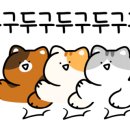 글라스미렌즈미 의정부행복로점 네이버블로그