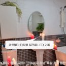 비바벨라