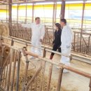 한우태인농장 이미지