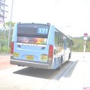 하단동171 이미지