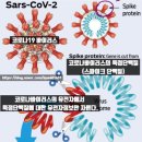 DNA 분석기술과 베리칩의 세계 이미지