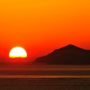 시우행정사 사무소 이미지