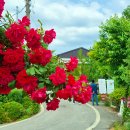 초정목장 이미지