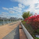 이응다리 남측 화장실 이미지