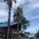 일송목장 이미지