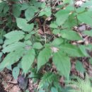 1박2일민박 이미지