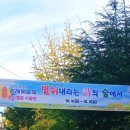 제33회 김해예술제 | [2년 전 오늘] 2022년 10월 4일 제33회 김해예술제 시화전에서 가을에 젖은 여자 / 윤주희