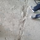 중앙역맞은편 이미지