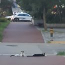 대동 대륜빌딩 이미지