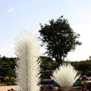 제주 유리의 성 이미지